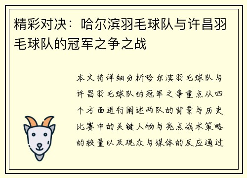 精彩对决：哈尔滨羽毛球队与许昌羽毛球队的冠军之争之战